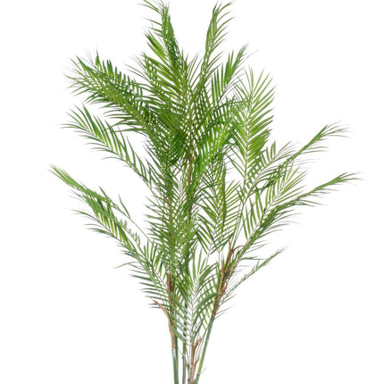 kunstplant-chamaedorea-elegans-bergpalm-120-cm