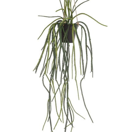 kunstplant-rhypsalis-koraalcactus-85-cm