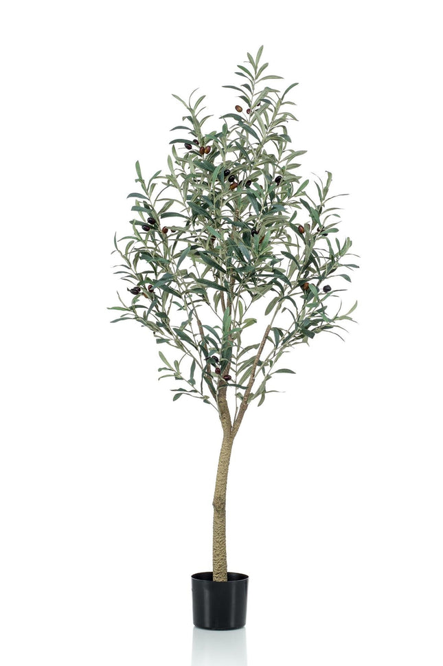 kunst-olijfboom-olea-europaea-olijfboom-140-cm