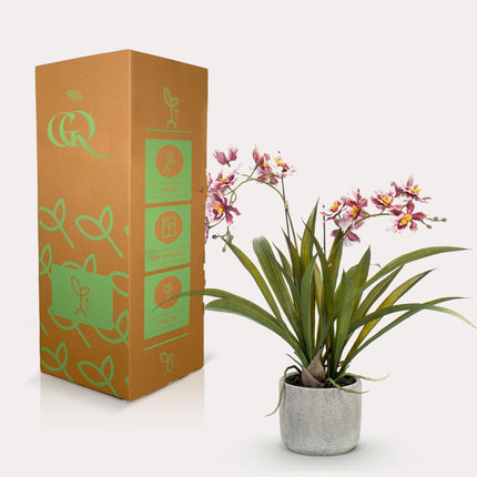 Kunstplant Orchidee - Bordeaux - ↕45cm - Ø16cm