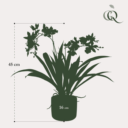 Kunstplant Orchidee - Bordeaux - ↕45cm - Ø16cm
