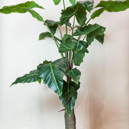 kunstplant-alocasia-olifantsoor-150-cm