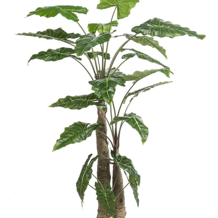 kunstplant-alocasia-olifantsoor-180-cm