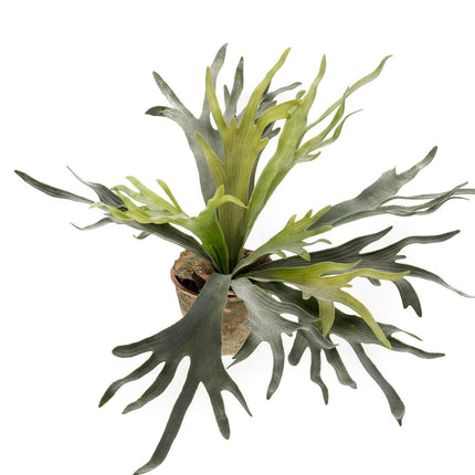 kunstplant-staghorn-fern-hertshoorn-50-cm