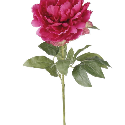 Kunstbloemen Solo - Dark Pink - Peonies - 5x - ↕65cm